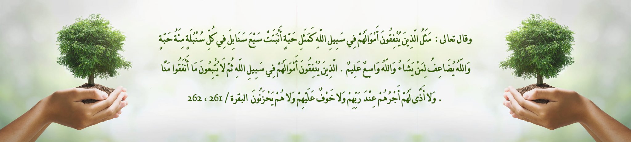 جمعية سكني الجميل بجازان